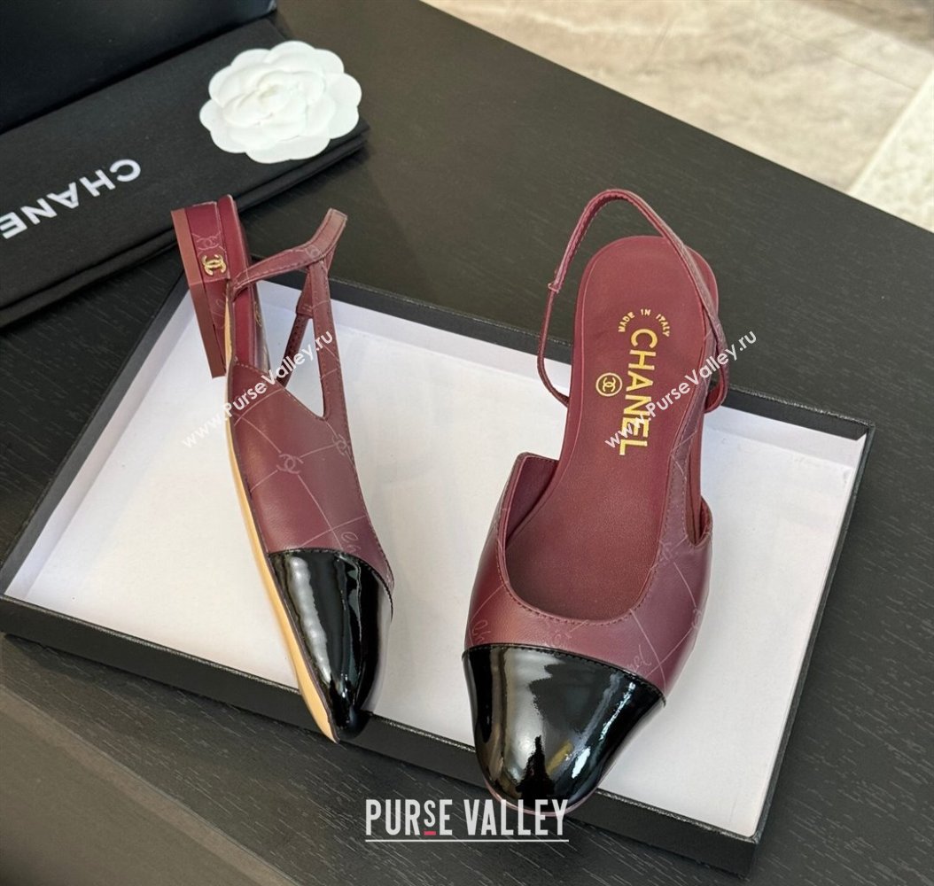 Chanel Printed Quilted Lambskin Patent Calfskin Slingbacks Flat Burgundy 2024 G31319 (KL-241121080)