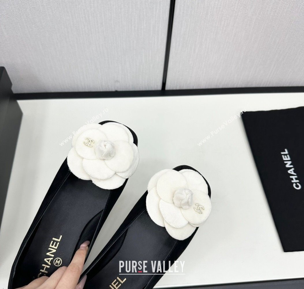 Chanel Suede Ballet Flats with Camellia Bloom Black/White 2024 CH112104 (KL-241121023)