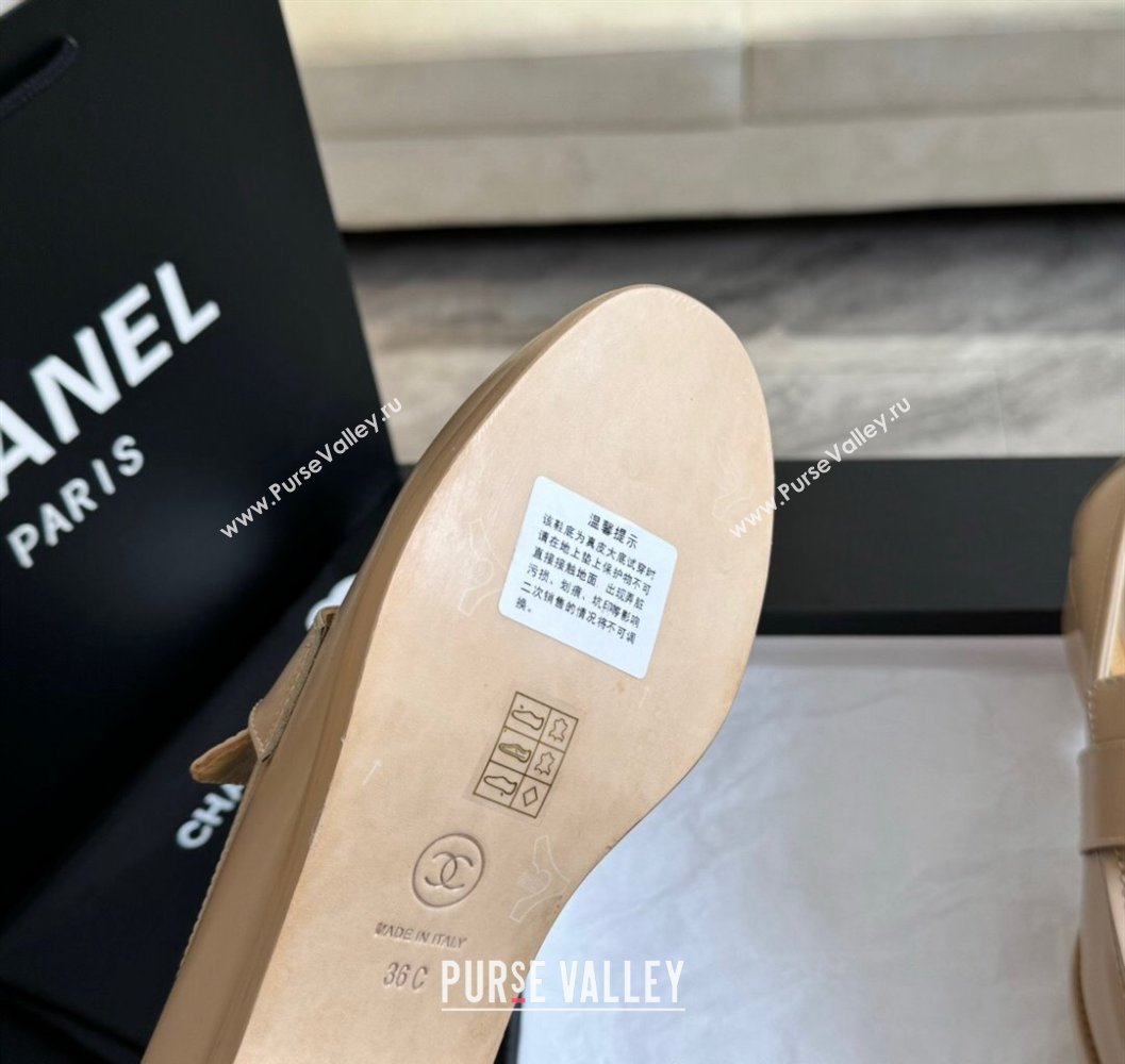 Chanel Shiny Calfskin Loafers with Camellia CC G45663 Light Beige 2024 (SS-2411120033)