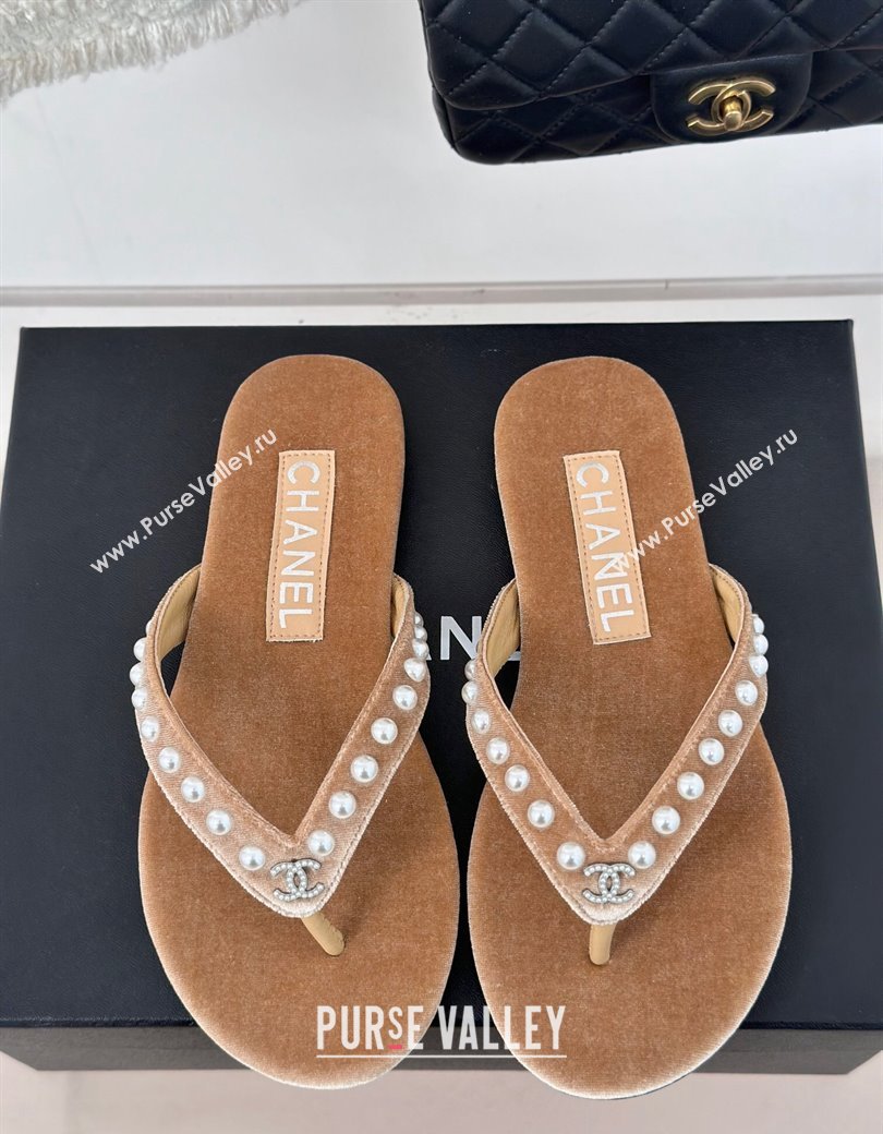 Chanel Velvet Flat Thongs Sandal with Pearls G46205 Beige 2024 (MD-241121176)