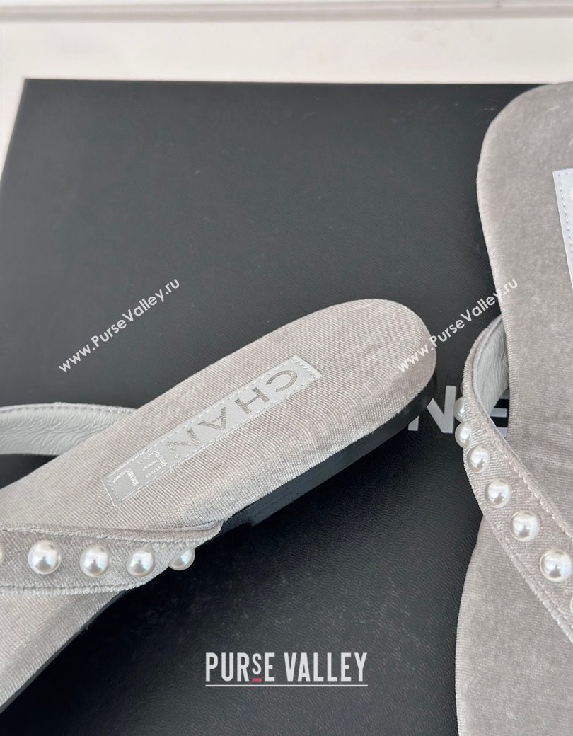 Chanel Velvet Flat Thongs Sandal with Pearls G46205 Grey 2024 (MD-241121179)