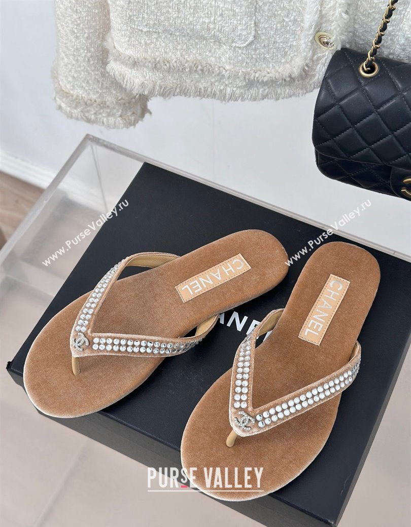 Chanel Velvet Flat Thongs Sandal with Strass G46205 Beige 2024 (MD-241121186)