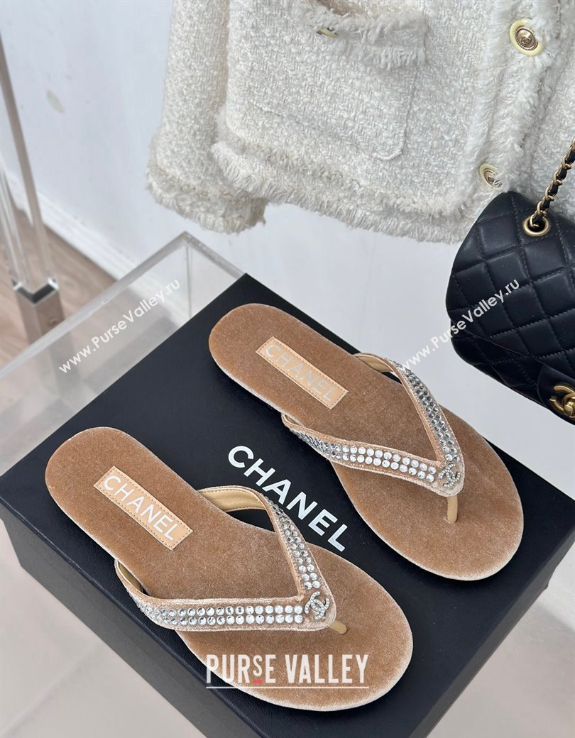 Chanel Velvet Flat Thongs Sandal with Strass G46205 Beige 2024 (MD-241121186)