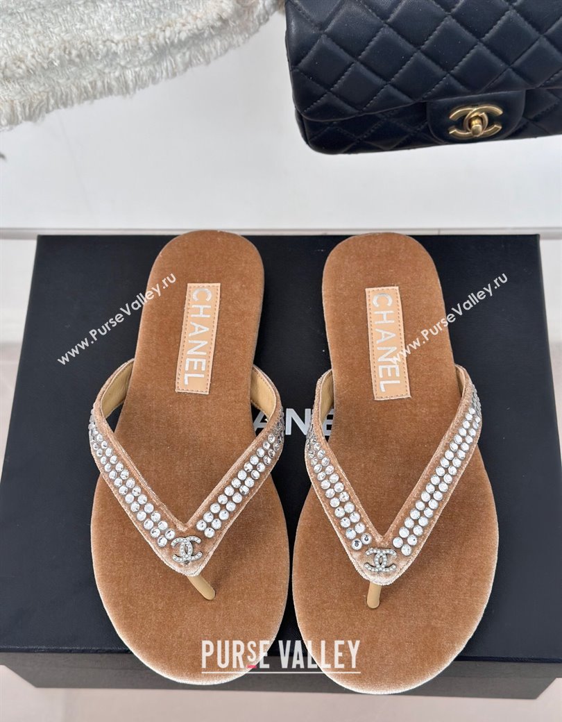 Chanel Velvet Flat Thongs Sandal with Strass G46205 Beige 2024 (MD-241121186)