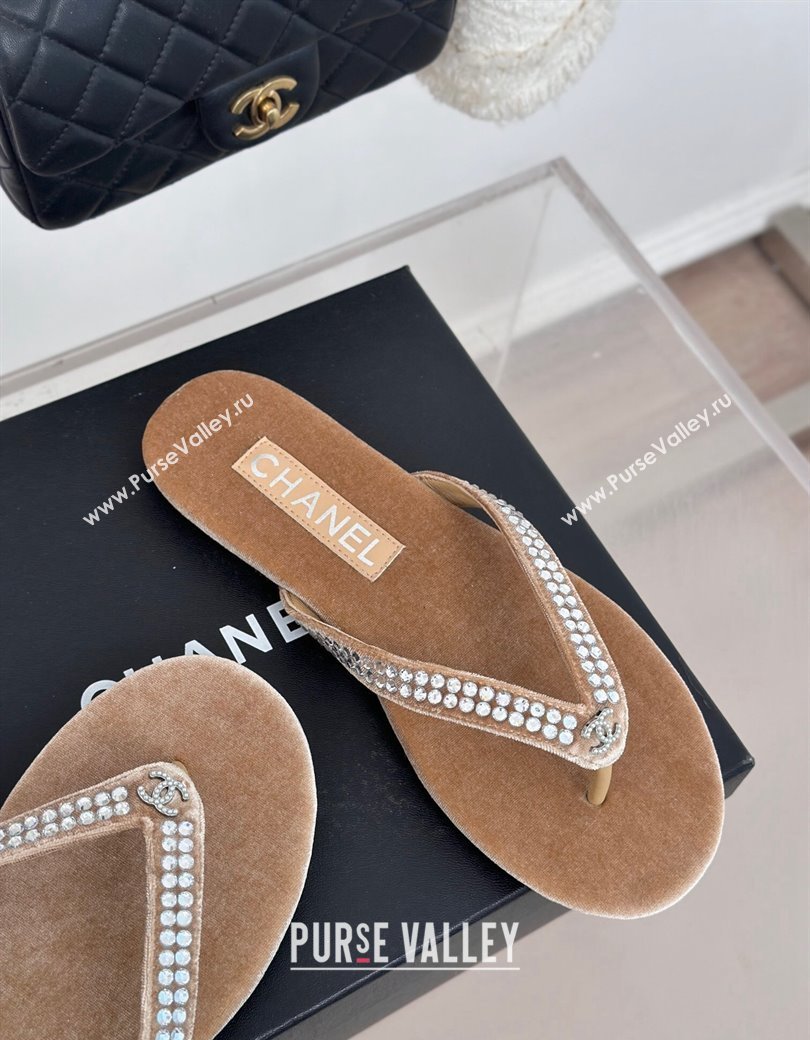 Chanel Velvet Flat Thongs Sandal with Strass G46205 Beige 2024 (MD-241121186)