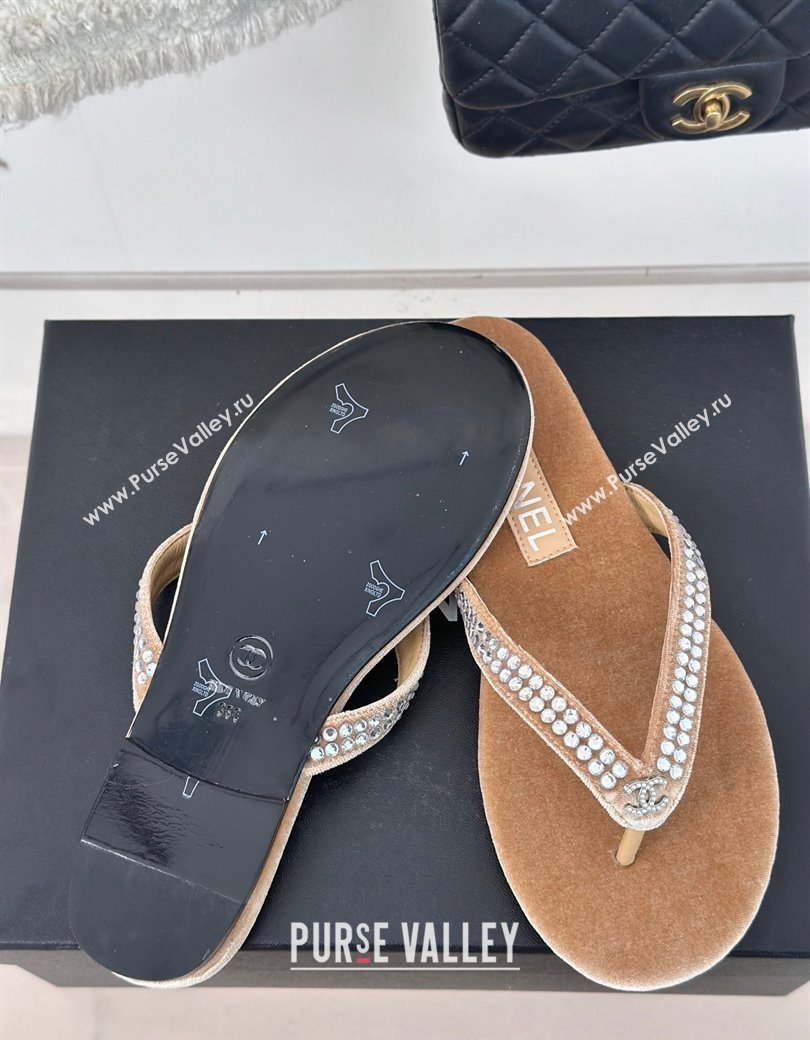 Chanel Velvet Flat Thongs Sandal with Strass G46205 Beige 2024 (MD-241121186)