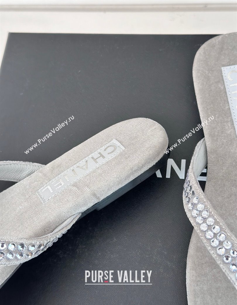 Chanel Velvet Flat Thongs Sandal with Strass G46205 Grey 2024 (MD-241121187)