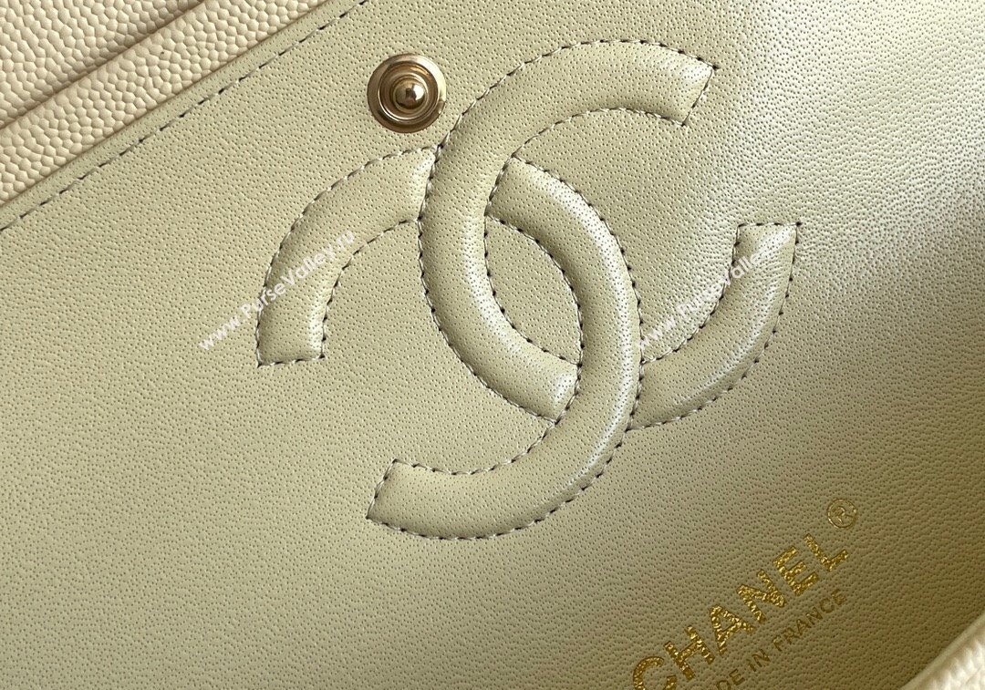 Chanel Quilted Grained Calfskin Classic Medium Flap bag A01112 Light Yellow 2024 1207 (yezi-241207028)