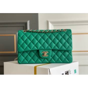 Chanel Quilted Grained Calfskin Classic Medium Flap bag A01112 Green2 2024 1207 (yezi-241207029)