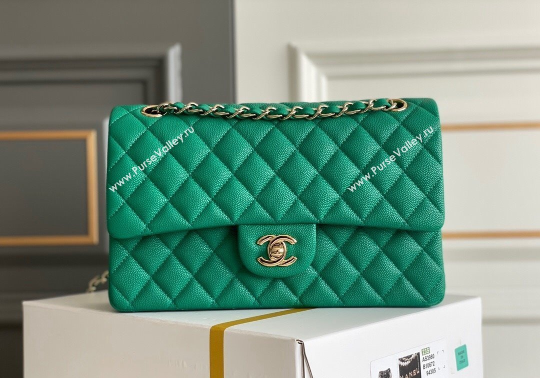 Chanel Quilted Grained Calfskin Classic Medium Flap bag A01112 Green2 2024 1207 (yezi-241207029)