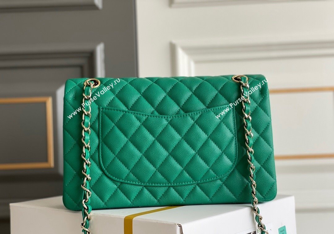 Chanel Quilted Grained Calfskin Classic Medium Flap bag A01112 Green2 2024 1207 (yezi-241207029)