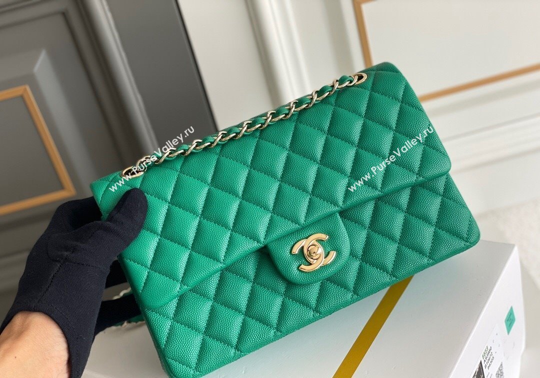 Chanel Quilted Grained Calfskin Classic Medium Flap bag A01112 Green2 2024 1207 (yezi-241207029)