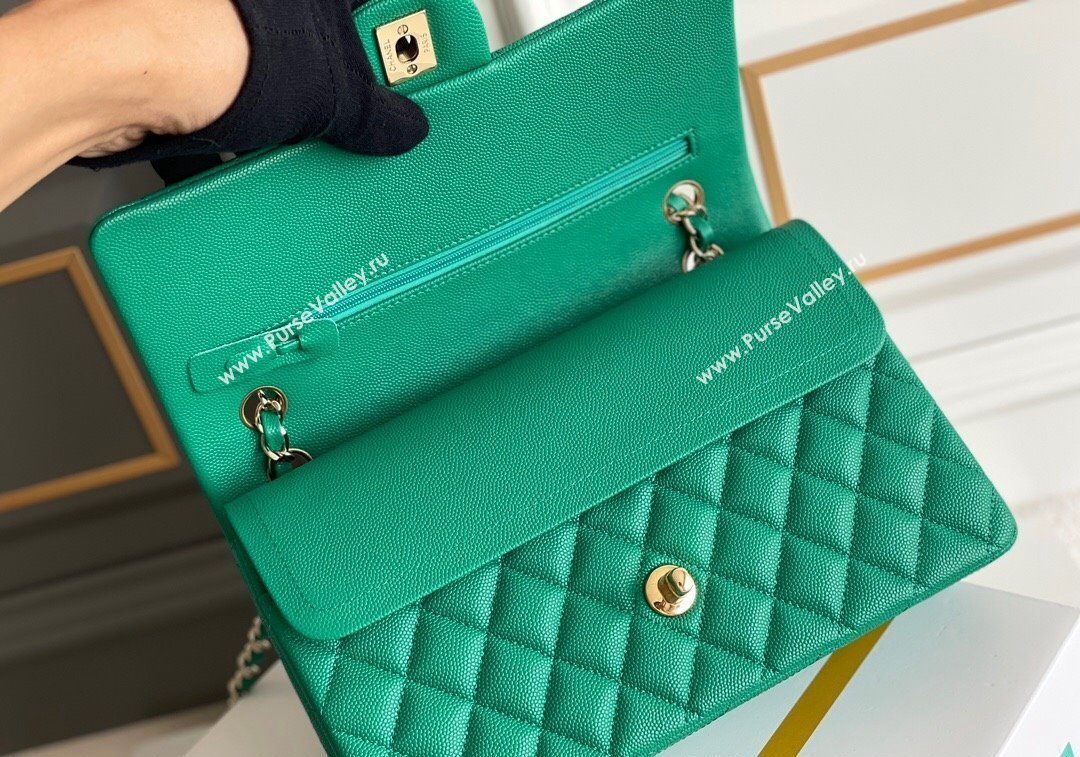 Chanel Quilted Grained Calfskin Classic Medium Flap bag A01112 Green2 2024 1207 (yezi-241207029)