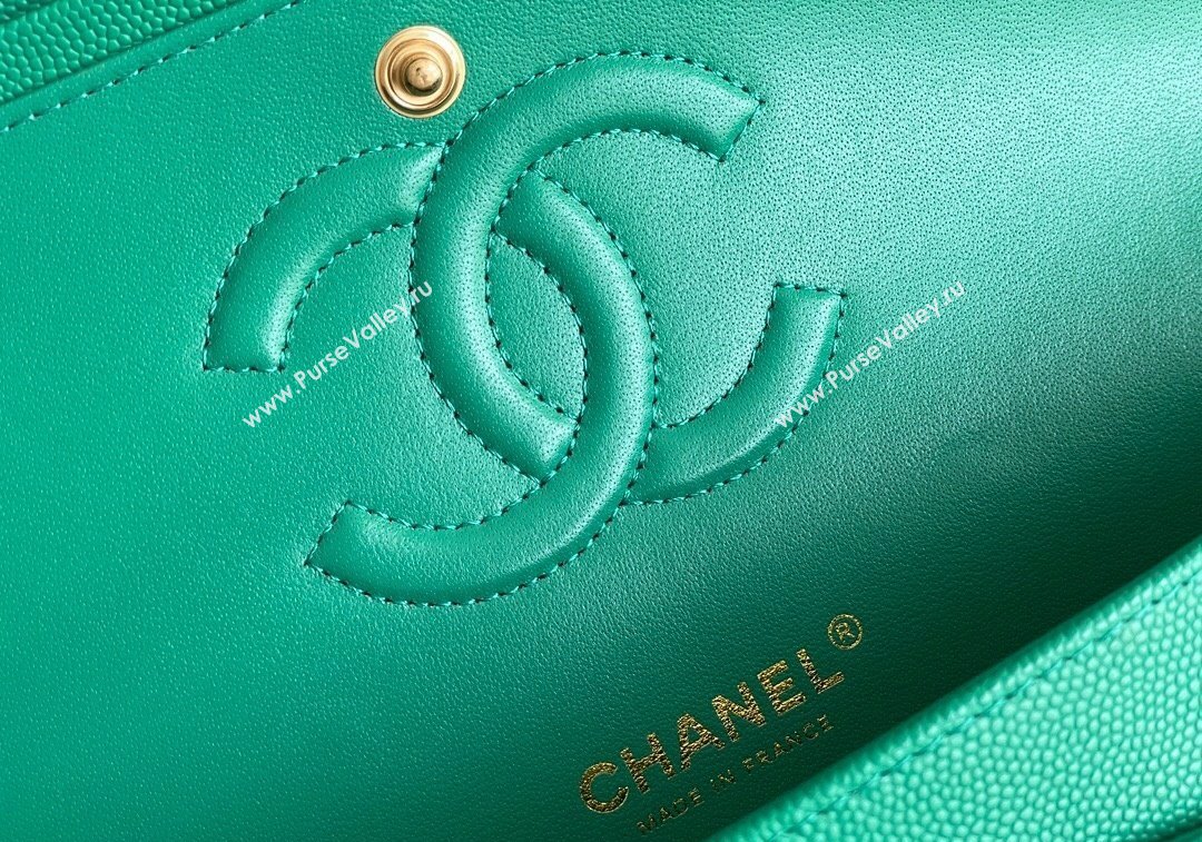 Chanel Quilted Grained Calfskin Classic Medium Flap bag A01112 Green2 2024 1207 (yezi-241207029)