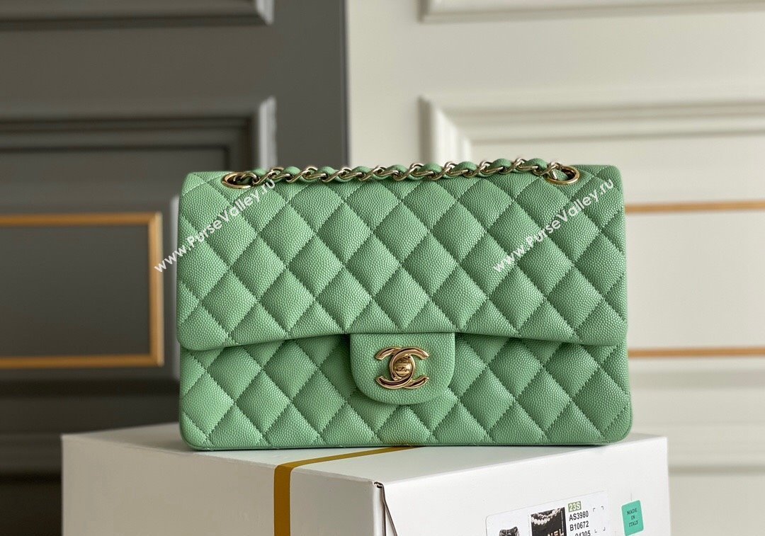 Chanel Quilted Grained Calfskin Classic Medium Flap bag A01112 Light Green 2024 1207 (yezi-241207033)