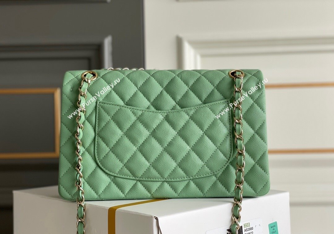 Chanel Quilted Grained Calfskin Classic Medium Flap bag A01112 Light Green 2024 1207 (yezi-241207033)