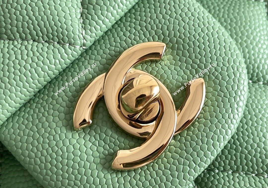 Chanel Quilted Grained Calfskin Classic Medium Flap bag A01112 Light Green 2024 1207 (yezi-241207033)