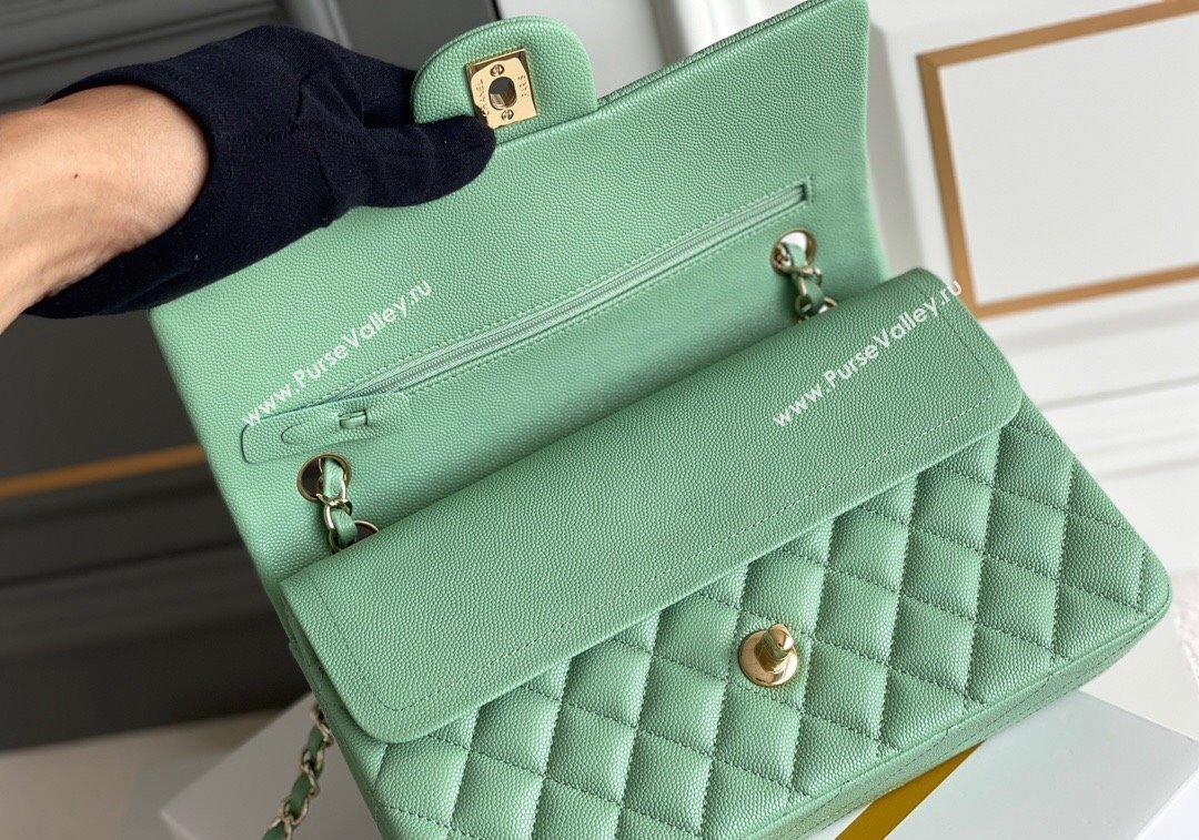 Chanel Quilted Grained Calfskin Classic Medium Flap bag A01112 Light Green 2024 1207 (yezi-241207033)