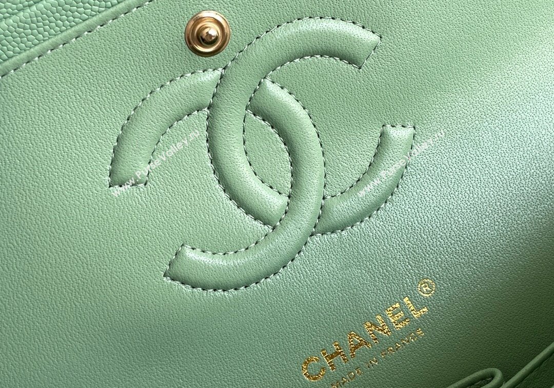 Chanel Quilted Grained Calfskin Classic Medium Flap bag A01112 Light Green 2024 1207 (yezi-241207033)