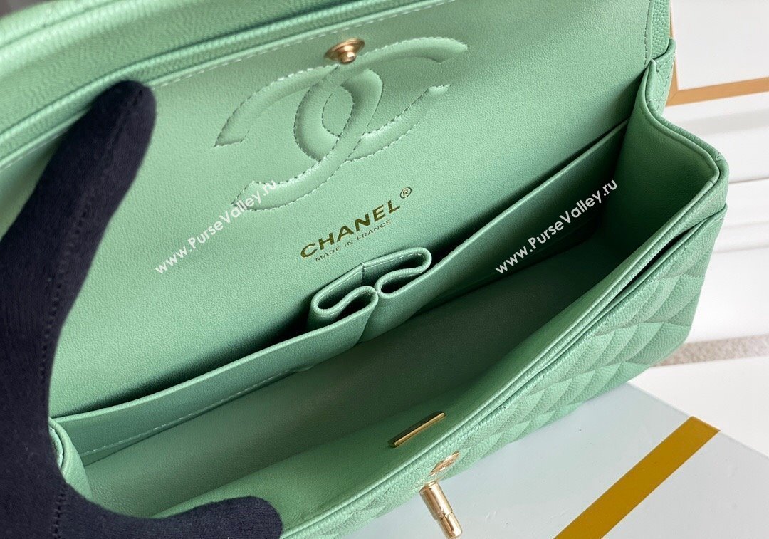 Chanel Quilted Grained Calfskin Classic Medium Flap bag A01112 Light Green 2024 1207 (yezi-241207033)