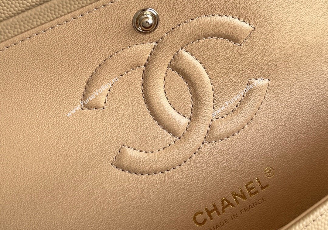 Chanel Quilted Grained Calfskin Classic Medium Flap bag A01112 Beige 2024 1207 (yezi-241207034)