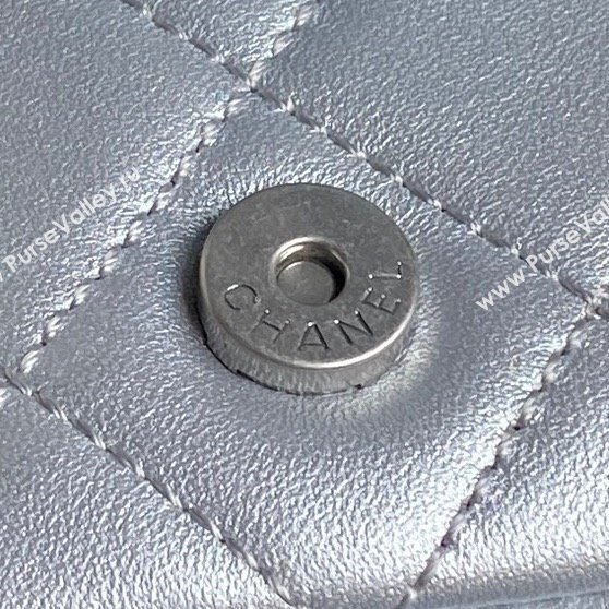 Chanel Shiny Lambskin Large Hobo Bag AS5339 Silver 2024 1206 (yezi-241207070)