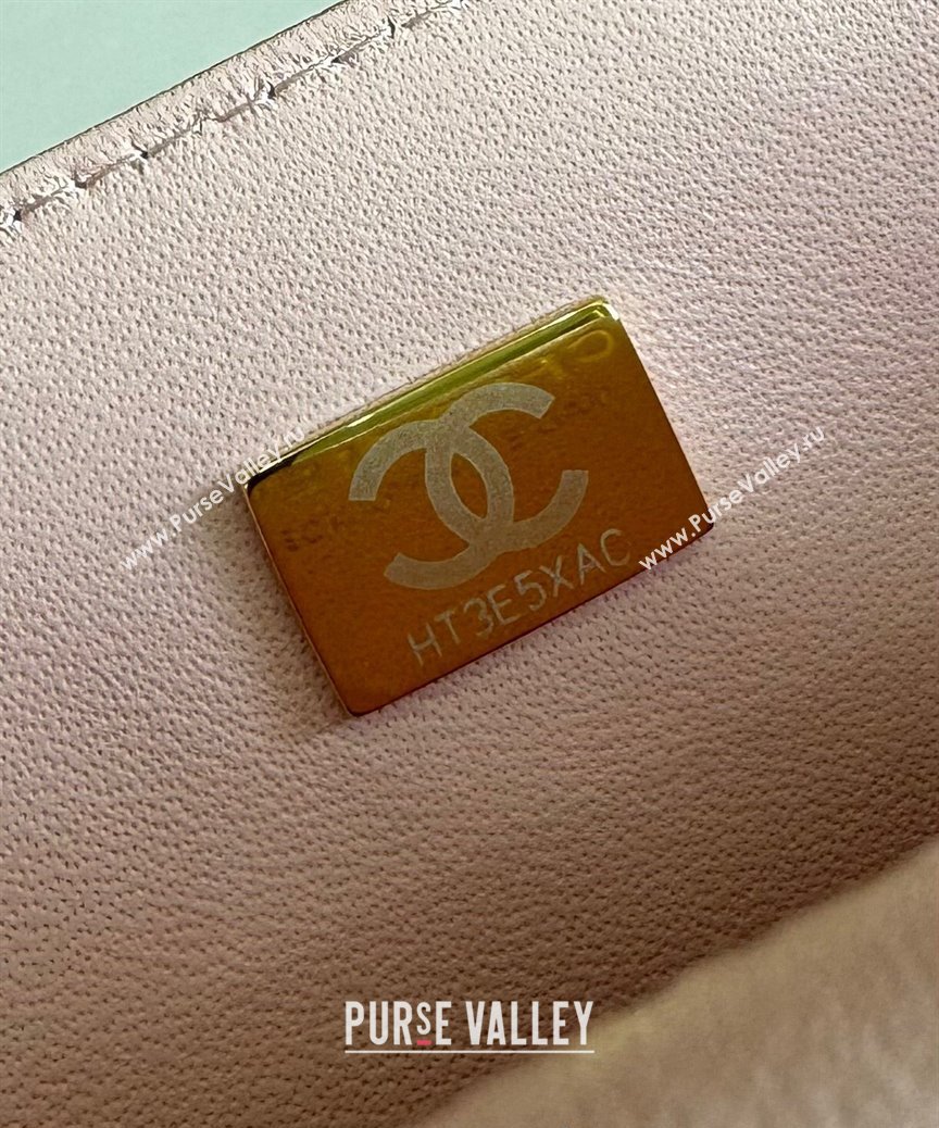 Chanel Classic Grained Calfskin Medium Flap Bag A01112 Sakula Pink 2024 1209 (YD-241209008)