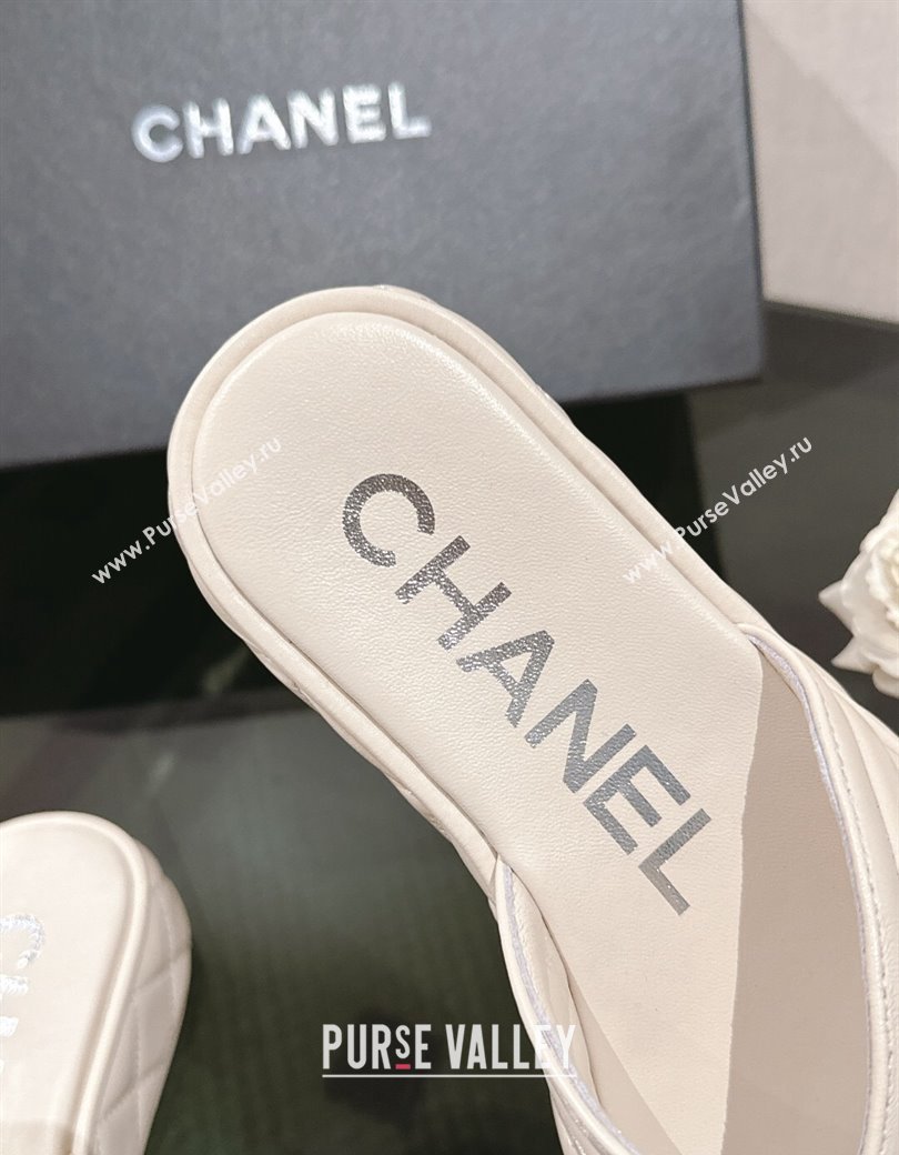 Chanel Chevron Lambskin Platform Thong Slides Sandal 4.5cm Pale Grey 2024 G46108 (MD-250102135)