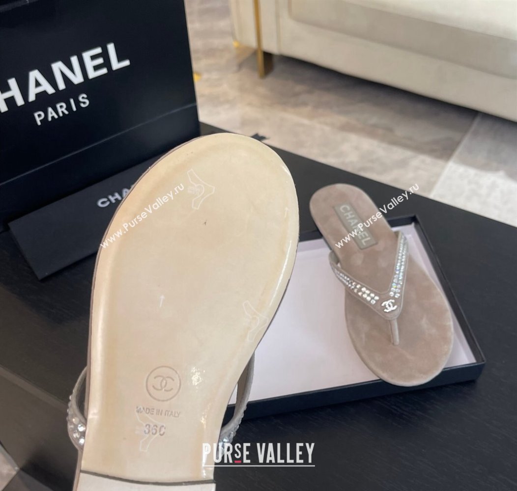 Chanel Suede Flat Thong Slide Sandals with Strass G46205 Khaki Grey 2024 (MD-240102059)