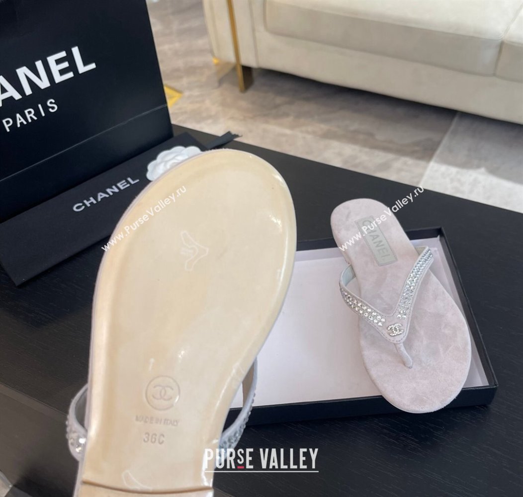 Chanel Suede Flat Thong Slide Sandals with Strass G46205 Purple Grey 2024 (MD-240102060)