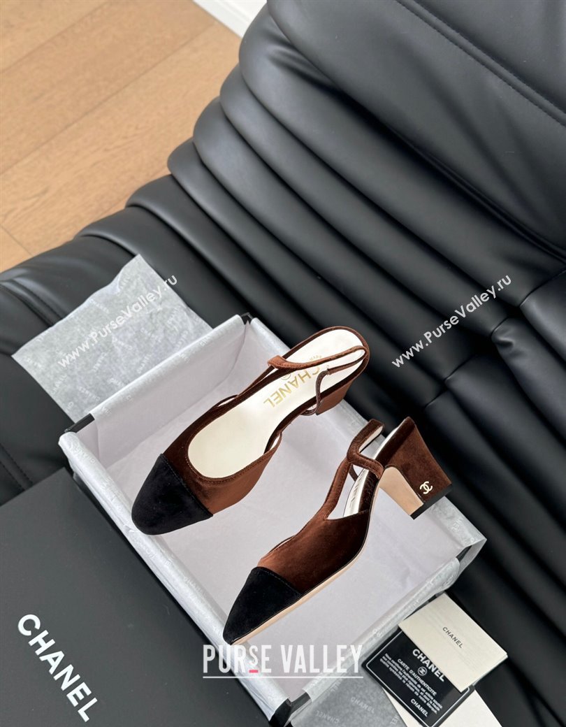 Chanel Velvet Slingback Pumps 6.5cm G31318 Dark Brown 2025 0103 (MD-250103105)