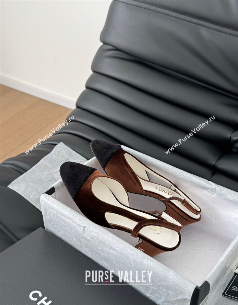 Chanel Velvet Slingback Pumps 6.5cm G31318 Dark Brown 2025 0103 (MD-250103105)