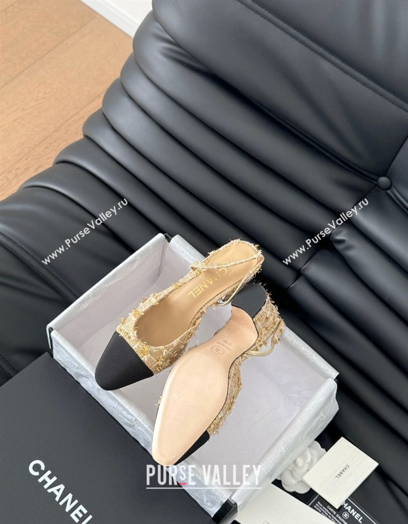 Chanel Tweed Grosgrain Slingback Pumps 6.5cm G31318 Beige 2025 0103 (MD-250103120)