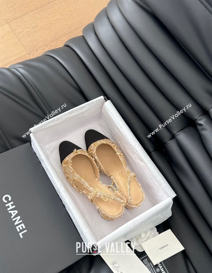 Chanel Tweed Grosgrain Slingback Pumps 6.5cm G31318 Beige 2025 0103 (MD-250103120)