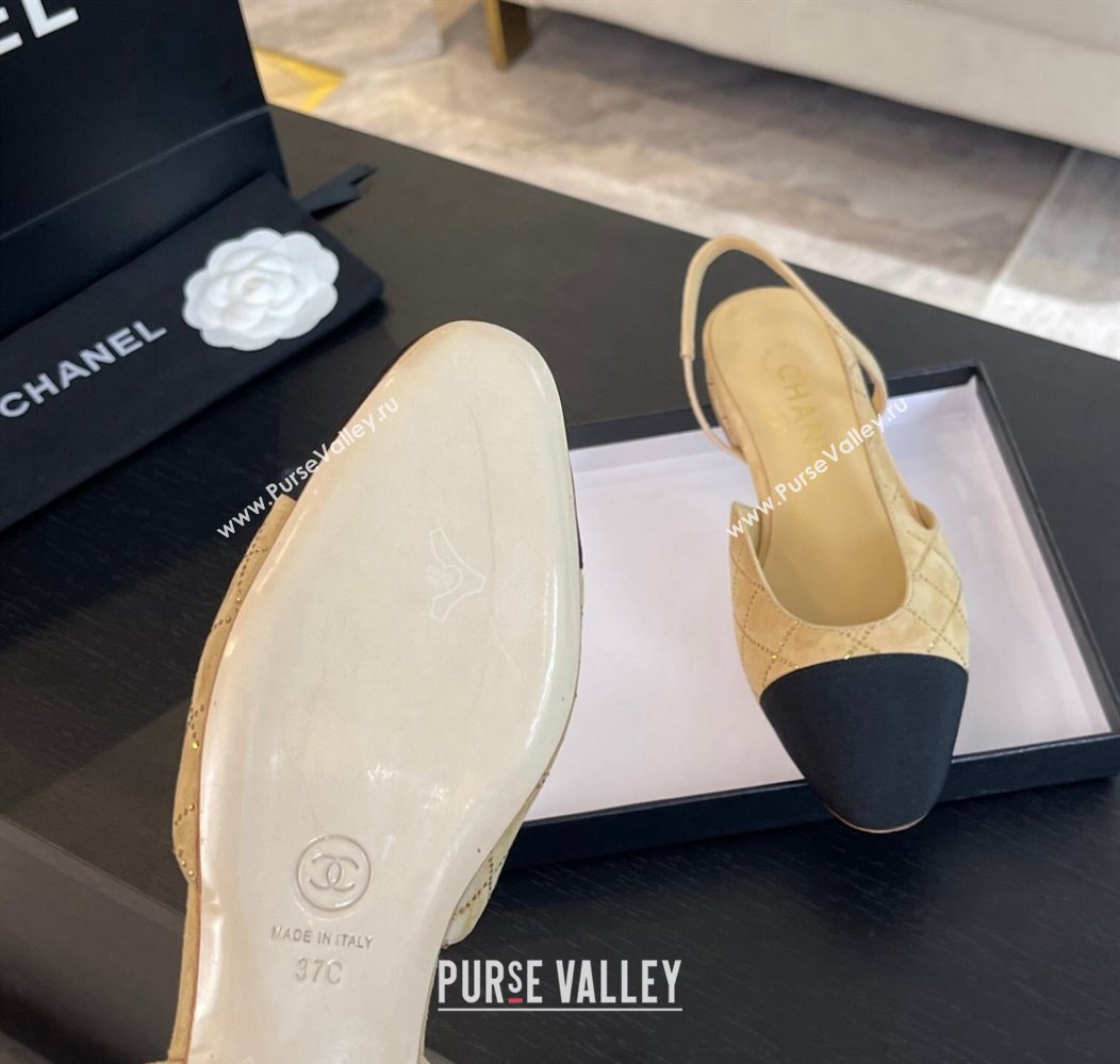 Chanel Quilted Suede Grosgrain Slingbacks Flats with Studs G31319 Dark Beige 2024 (MD-250103093)