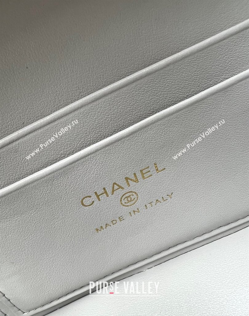 Chanel Grained Calfskin Long Vanity Case with Chain Light Grey 2025 AP4407 (yezi-250113020)