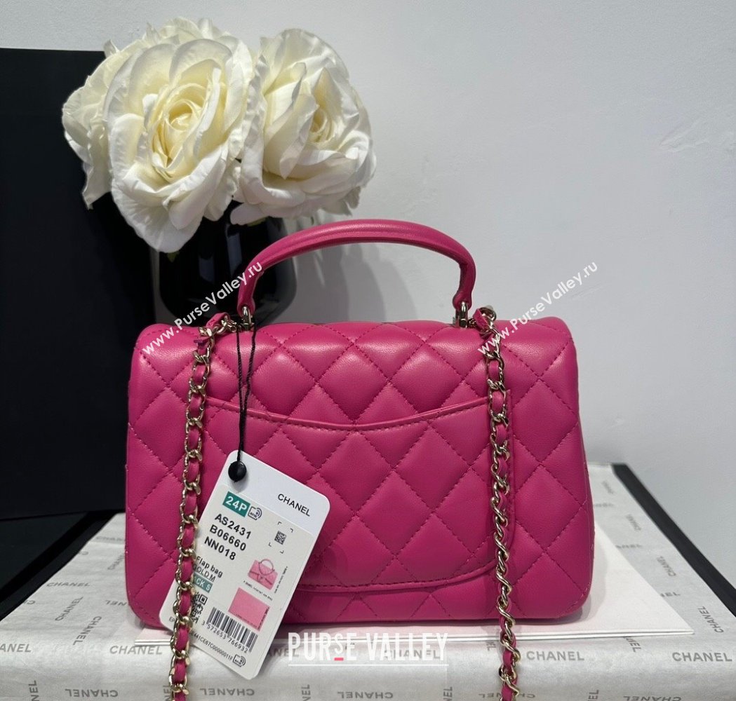 Chanel Coco Lambskin Mini Flap Bag with Top Handle AS2431 Dark Pink 2025 0212 (yezi-250213007)