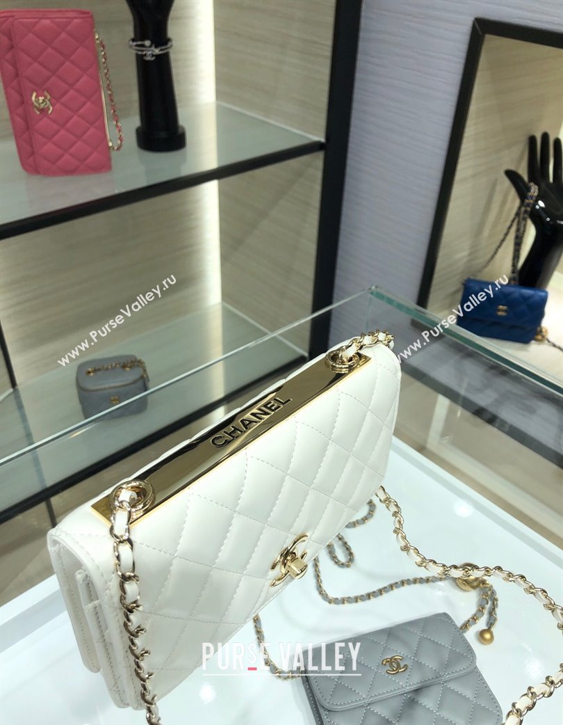 Chanel Lambskin Wallet On Chain WOC with Metal-Tone Band White 2025 A84456 (yezi-250213047)