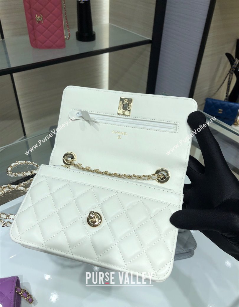 Chanel Lambskin Wallet On Chain WOC with Metal-Tone Band White 2025 A84456 (yezi-250213047)
