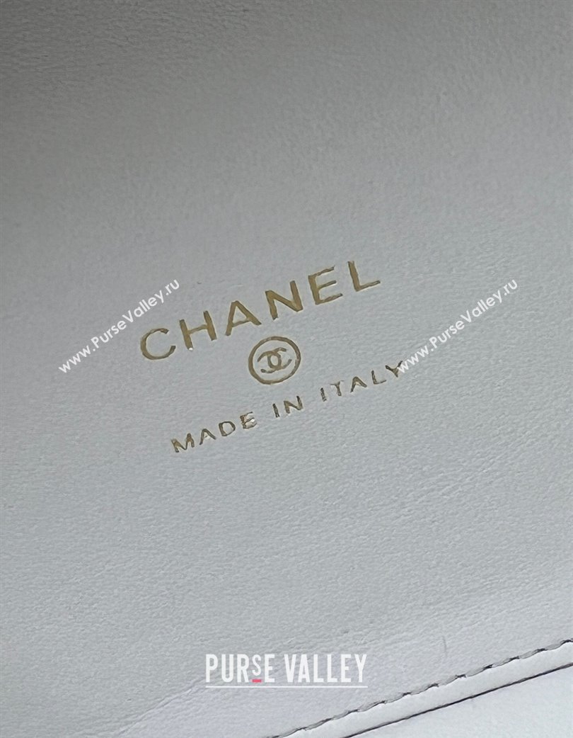 Chanel Grained Calfskin Clutch with Chain and Top Handle AP4438 Grey 2025 (yezi-250213049)