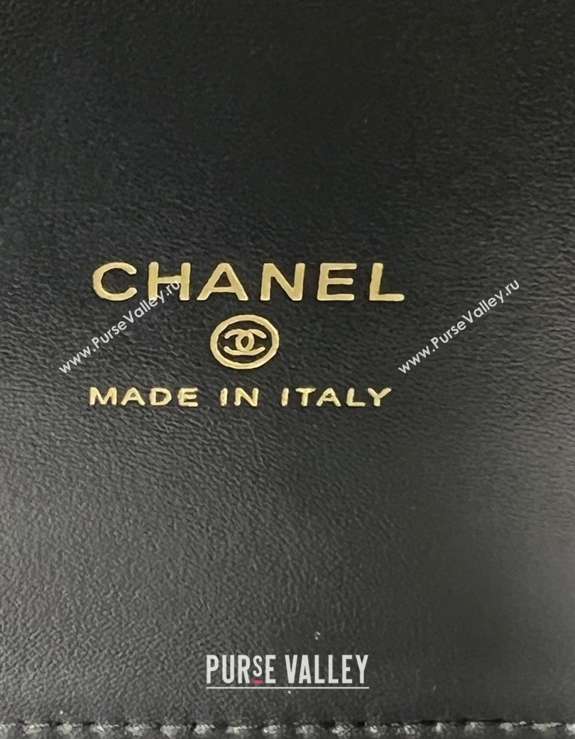 Chanel Grained Calfskin Clutch with Chain and Top Handle AP4438 Black 2025 (yezi-250213051)