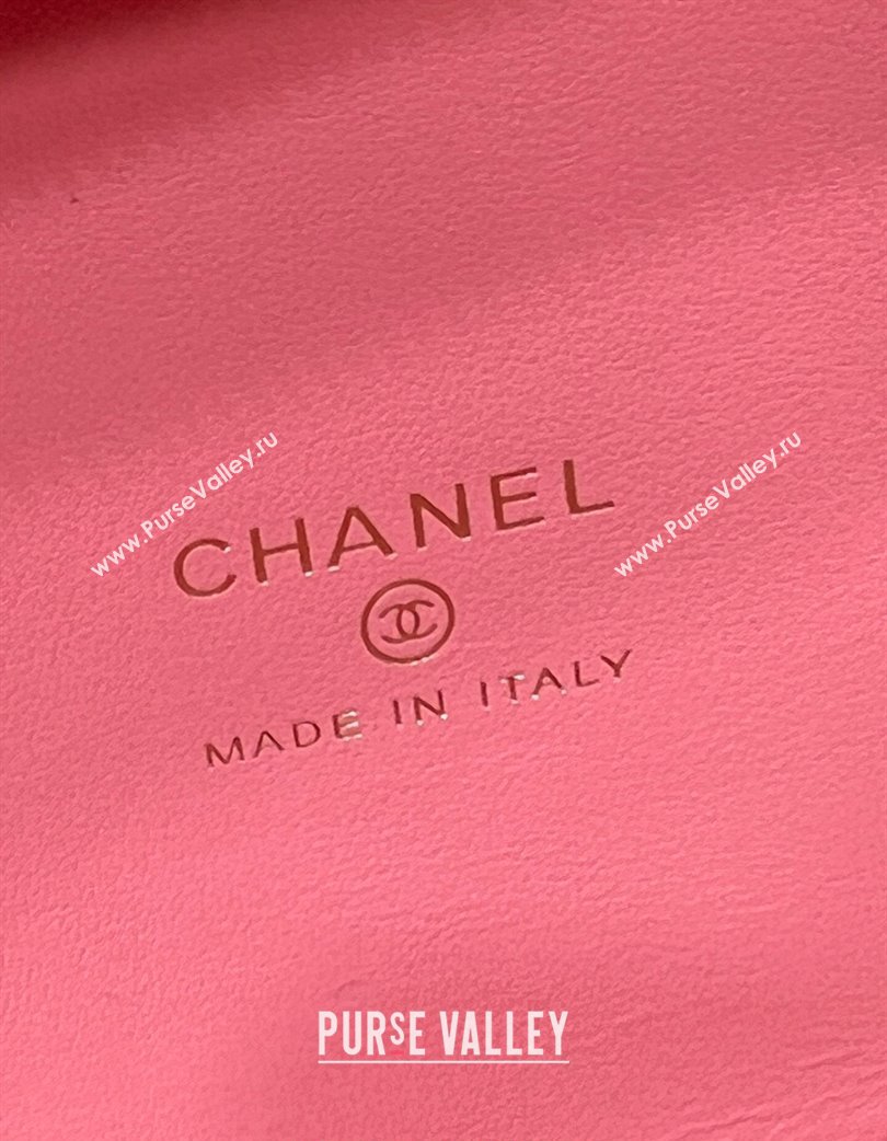 Chanel Grained Calfskin Clutch with Chain and Top Handle AP4438 Pink 2025 (yezi-250213052)