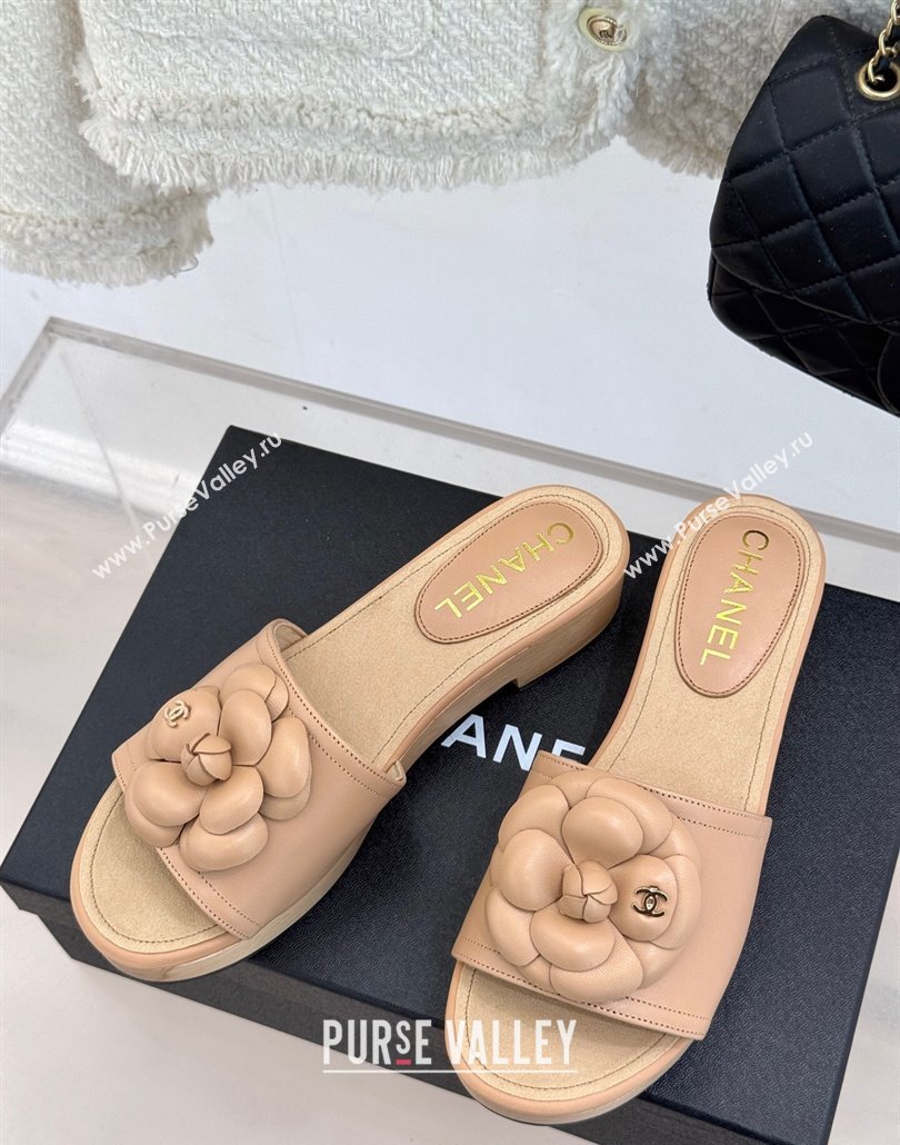 Chanel Tweed Wood-Like Platform Slides Sandal 4cm with Camellia Bloom Beige 2025 CH030305 (MD-250303056)