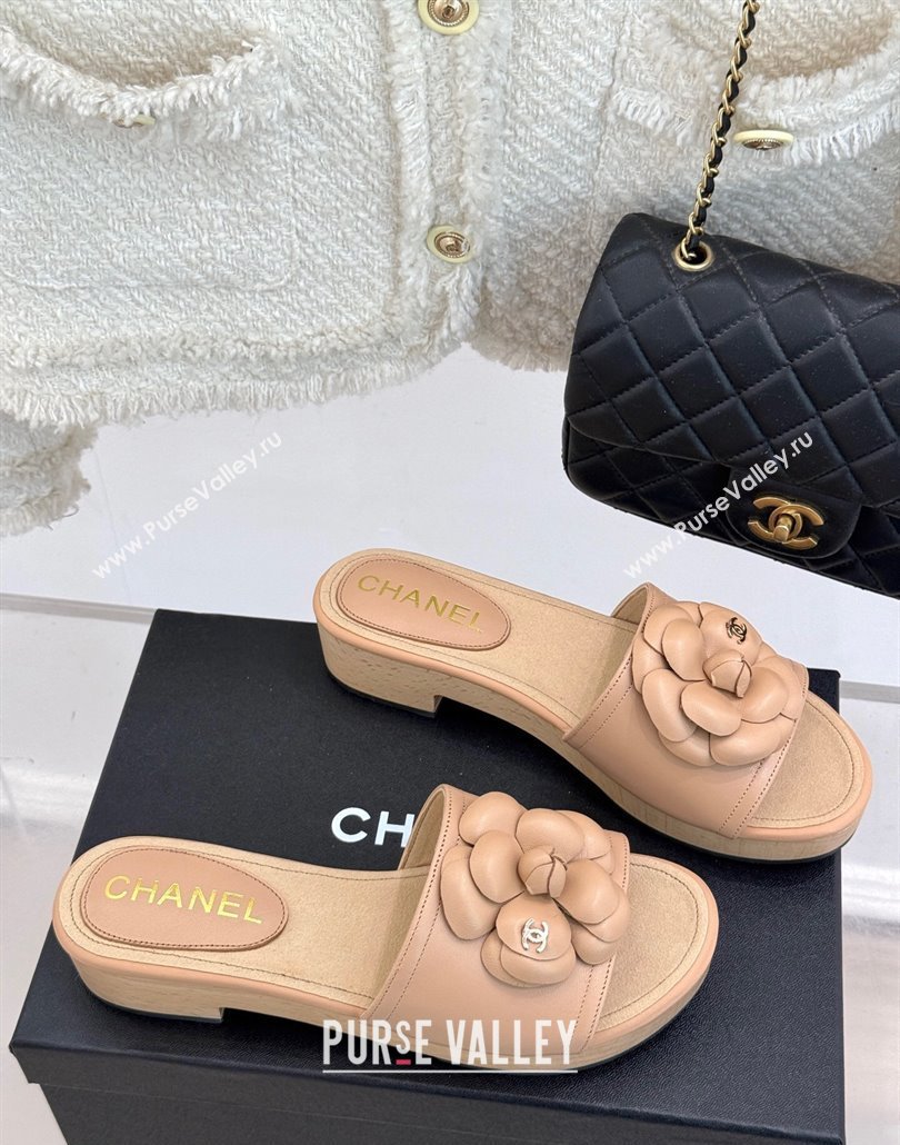 Chanel Tweed Wood-Like Platform Slides Sandal 4cm with Camellia Bloom Beige 2025 CH030305 (MD-250303056)