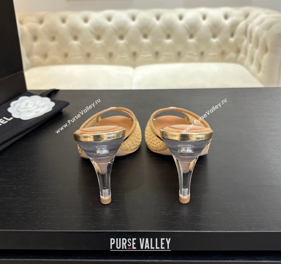 Chanel Mesh and Leather Heel Slides Sandal 7cm with Strass Gold 2025 CH030325 (MD-250303156)