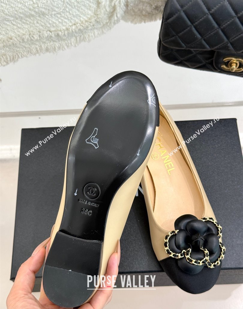 Chanel Lambskin Ballet Flats with Camellia Bloom and Chain Beige 2025 CH030306 (MD-250303061)