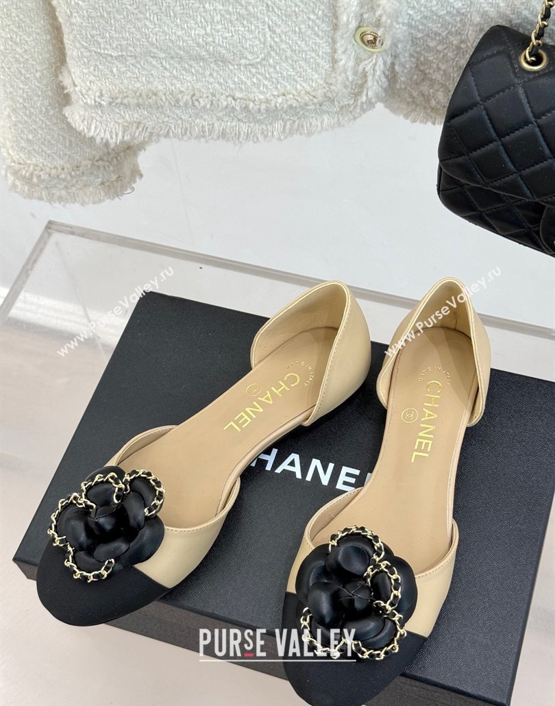 Chanel Lambskin Open Flats Shoes with Camellia Bloom and Chain Beige 2025 CH030306 (MD-250303064)