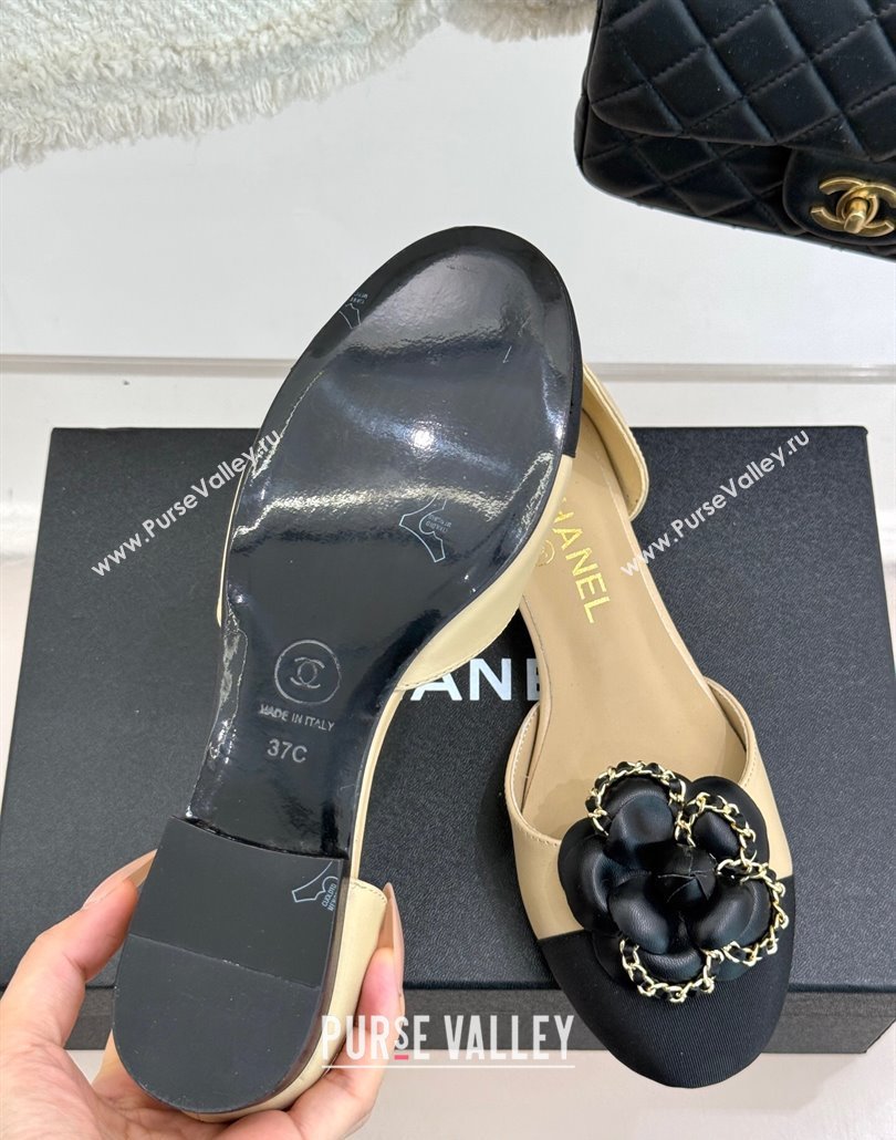 Chanel Lambskin Open Flats Shoes with Camellia Bloom and Chain Beige 2025 CH030306 (MD-250303064)