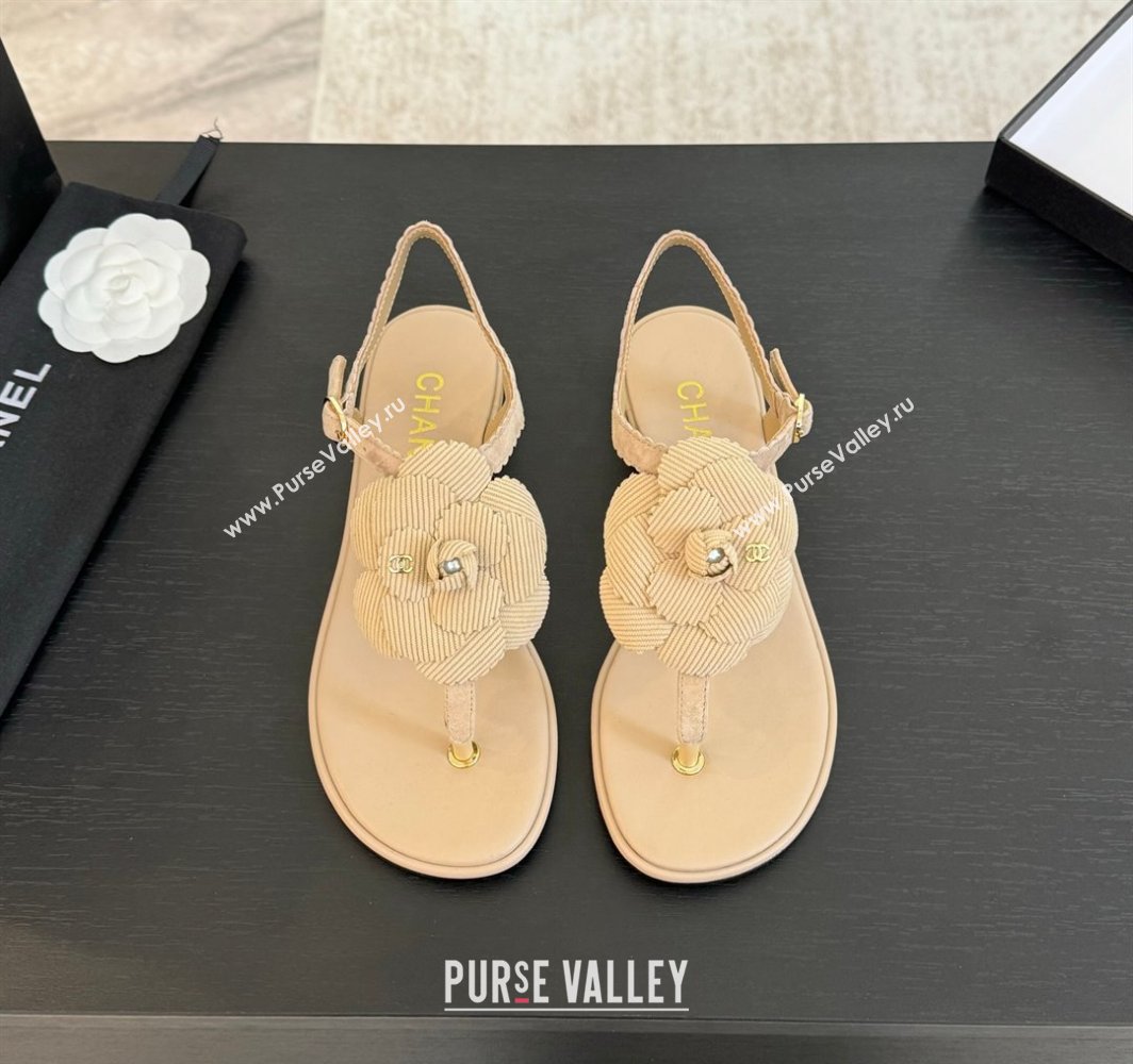 Chanel Suede Flat Thong Sandals with Camellia Bloom Beige 2025 G45928 (MD-250303080)