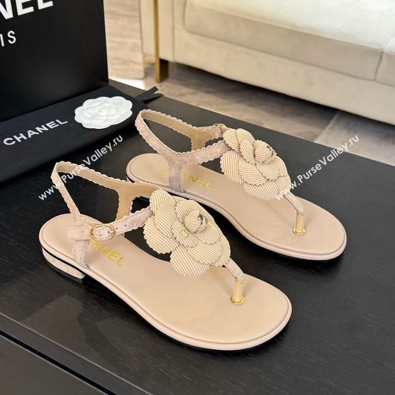 Chanel Suede Flat Thong Sandals with Camellia Bloom Beige 2025 G45928 (MD-250303080)